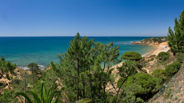 playa mar panorama_ATT7144